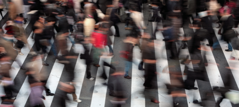 Regularització extraordinària 2026